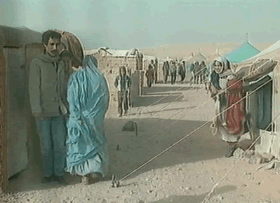 Sahara : The autonomy plan has spurred an unprecedented debate in Tindouf